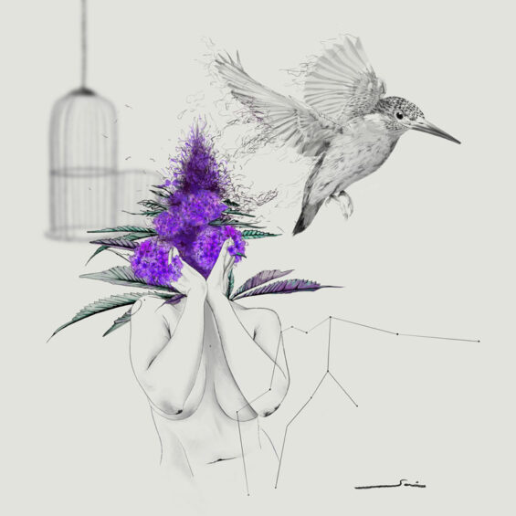 Digital drawing, portrait