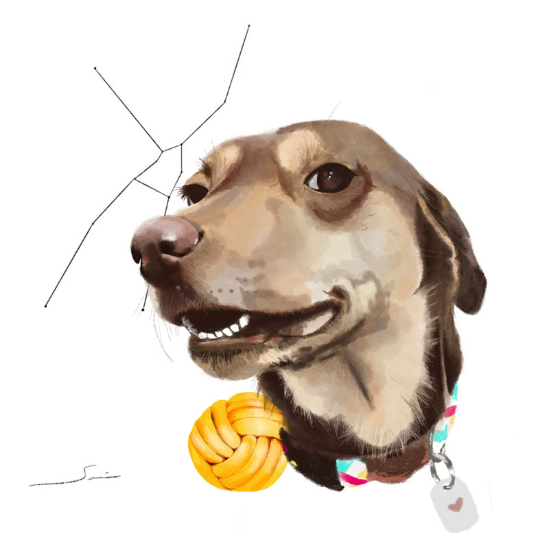 Digital drawing, portrait