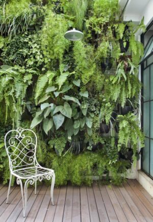 Jardin Vertical